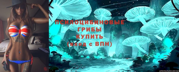 МДПВ Беломорск
