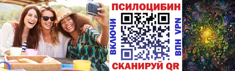 Галлюциногенные грибы GOLDEN TEACHER  Купить закладки  Верея 